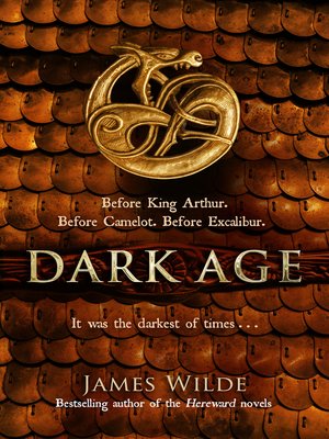 cover image of Dark Age